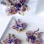 Мотылек Виши