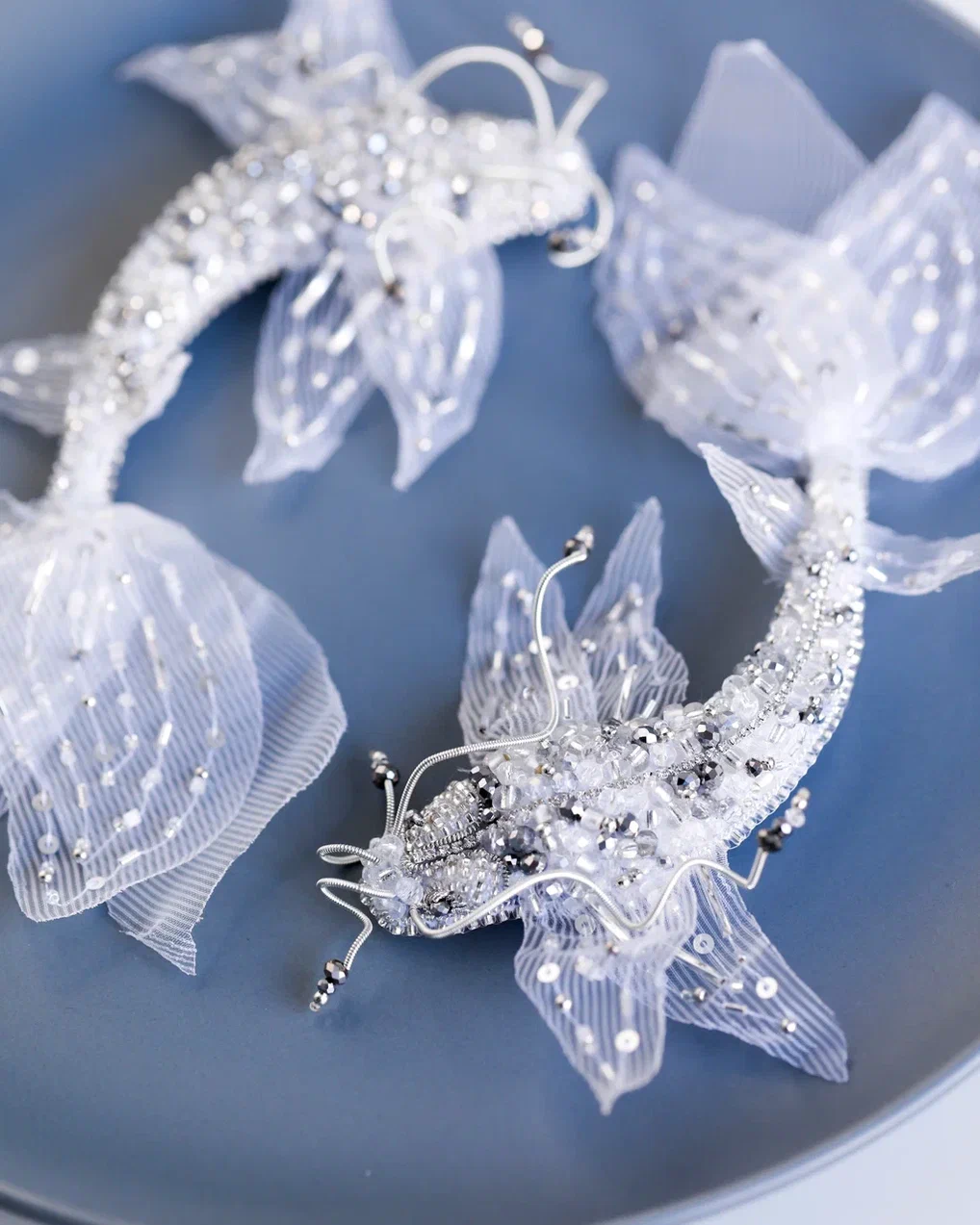 Сомик в белом цвете 