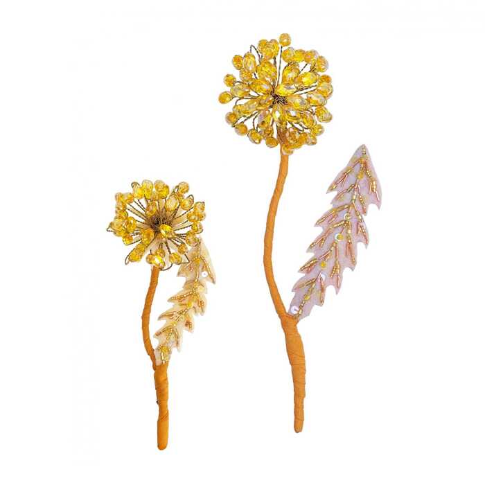 Одуванчик жёлтый