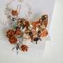Лиса Элис
