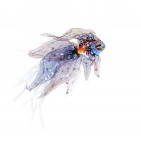 Цвет: Мультицвет